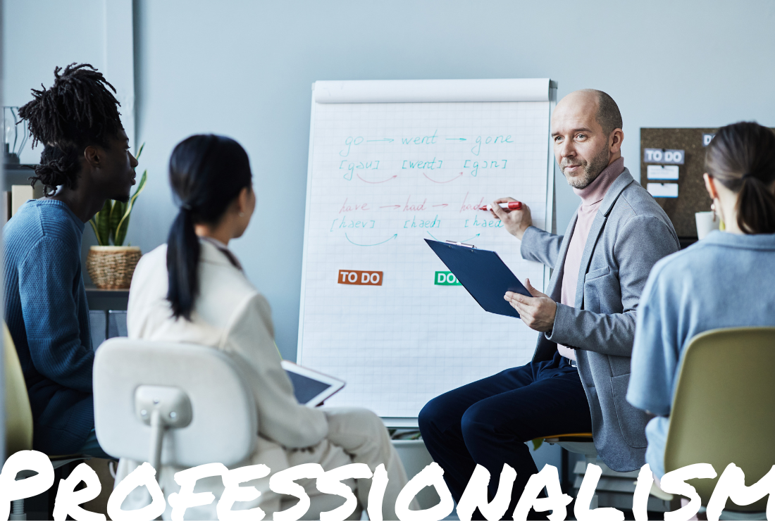 professional english